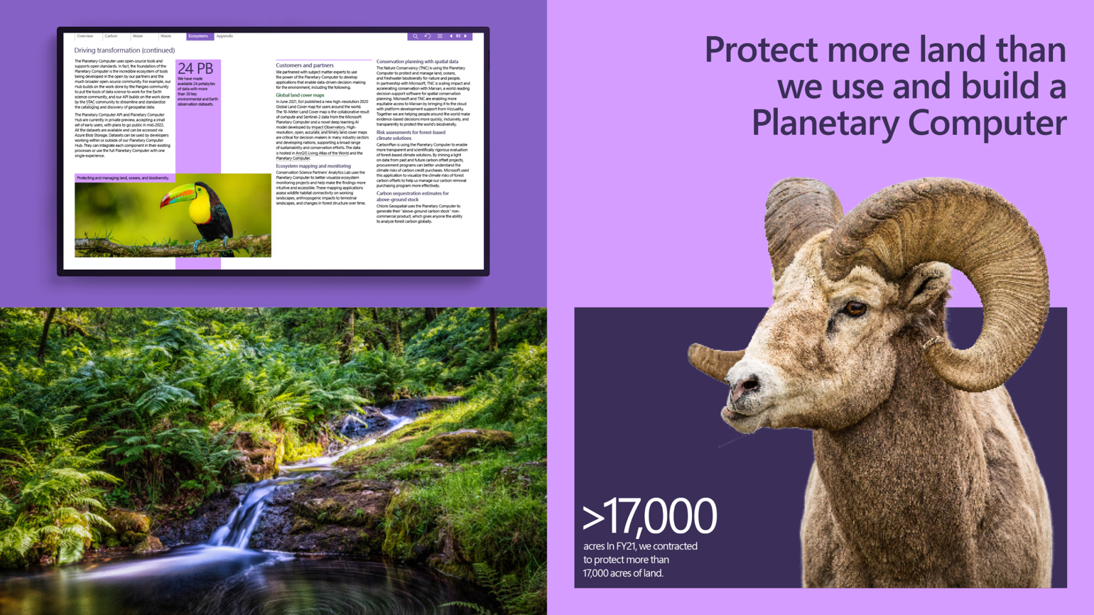 A goat and waterfall scenery in the Ecosystem page of the report