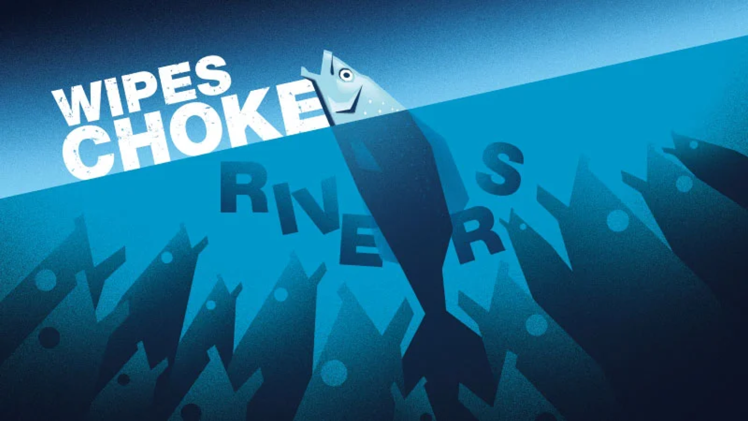 A poster with many fishes were choked because of wipes in the river